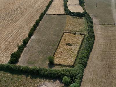 Picture 11